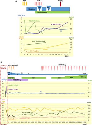 Systemic Lupus Erythematosus Presenting With Thrombotic Thrombocytopenic Purpura at Onset: A Case Report